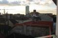 DSC00975.JPG