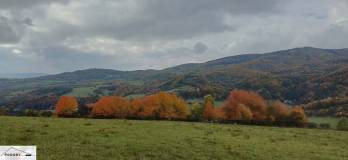 Hrabičov - predaj pozemku v krásnom prostredí pri lese